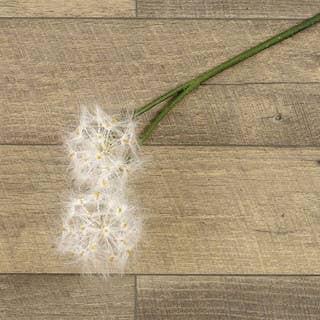 23" DANDELION SPRAY
