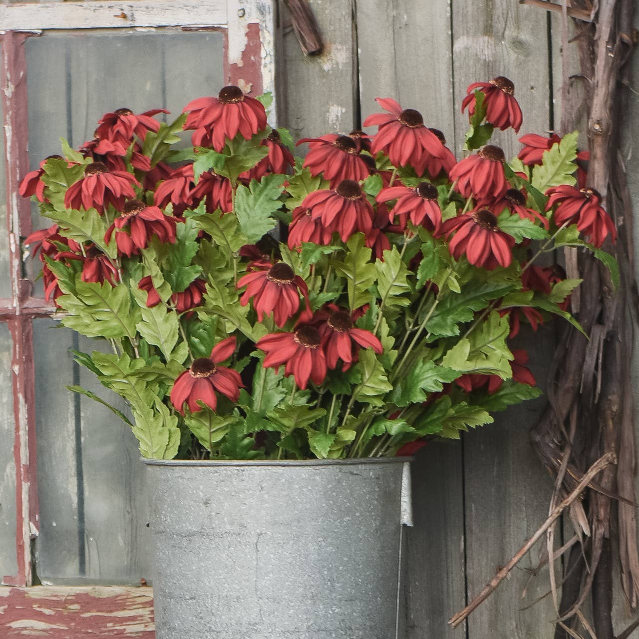 29" RED CHATEAU BLACK EYED SUSAN