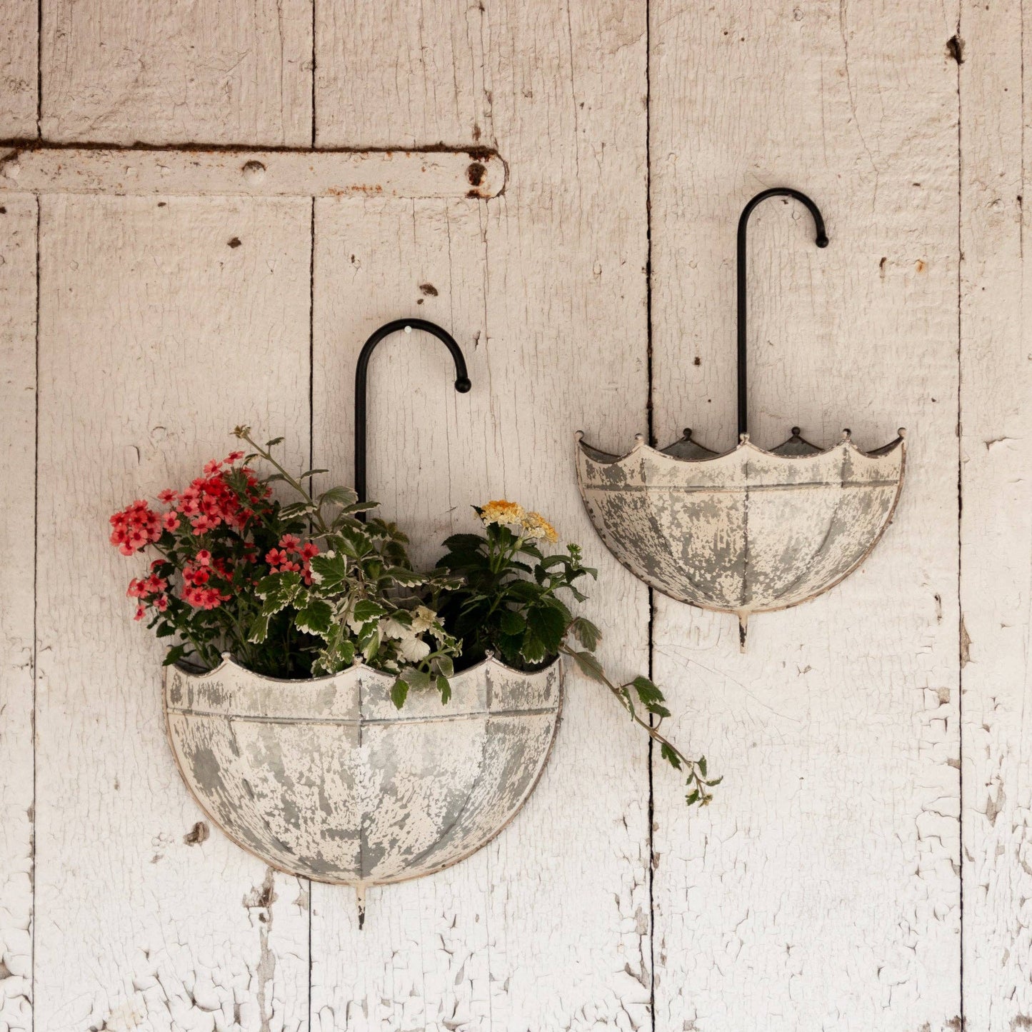 Galvanized Umbrella Wall Planter (Set Of 02)