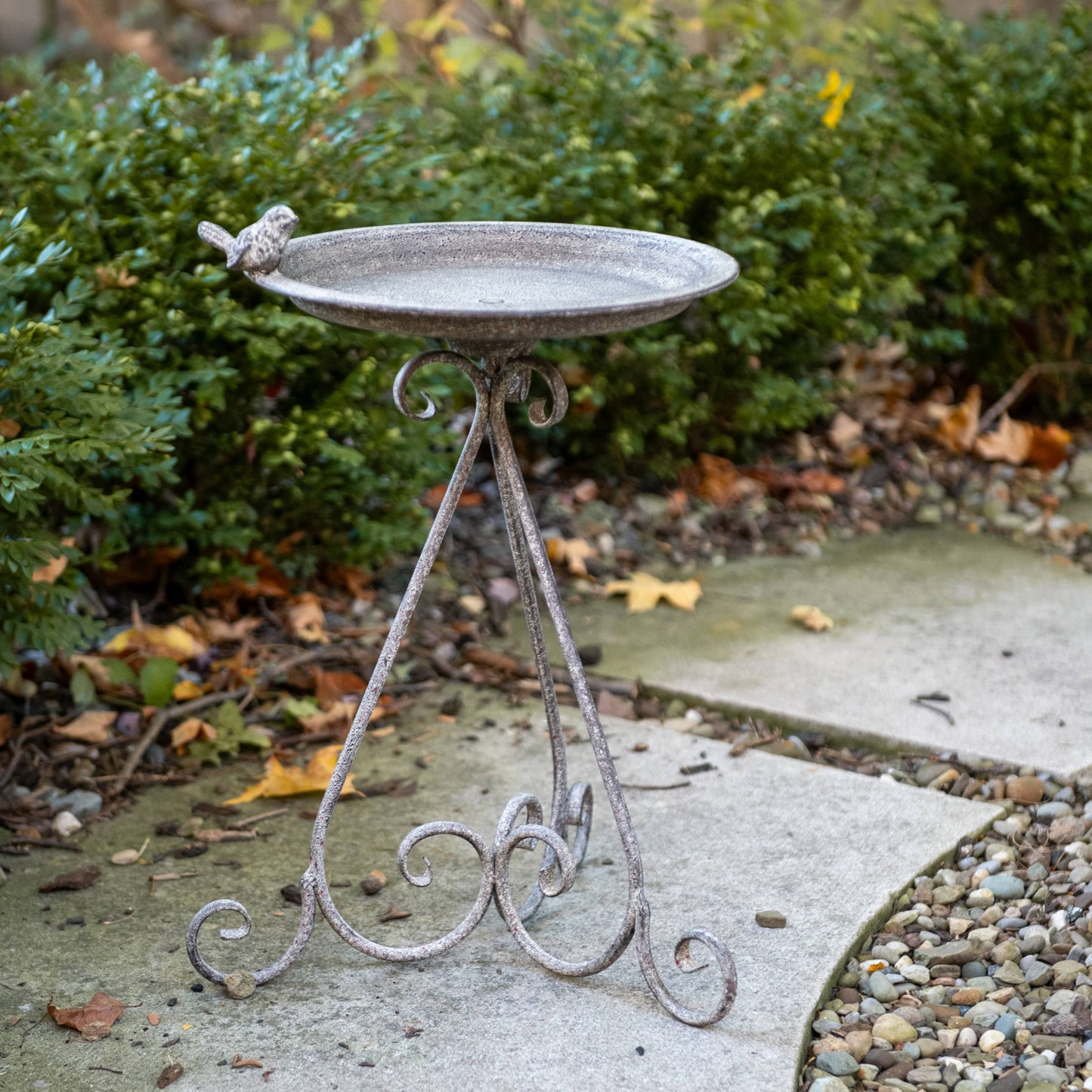 SCROLL BIRDBATH W/ BIRD