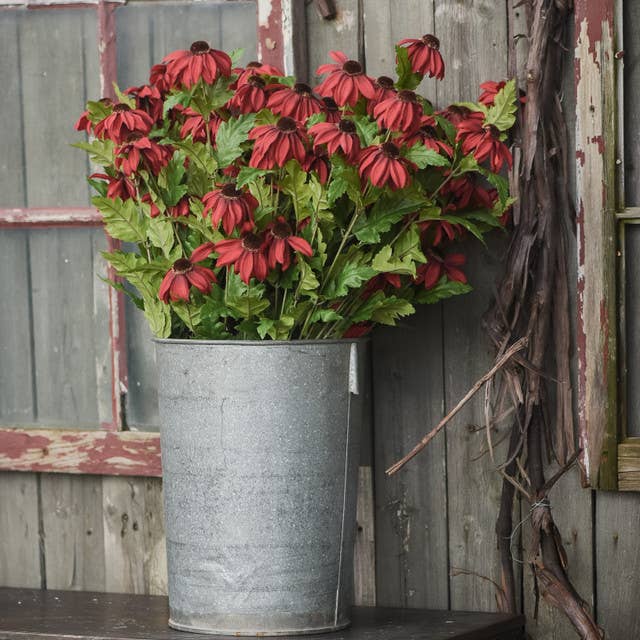 29" RED CHATEAU BLACK EYED SUSAN