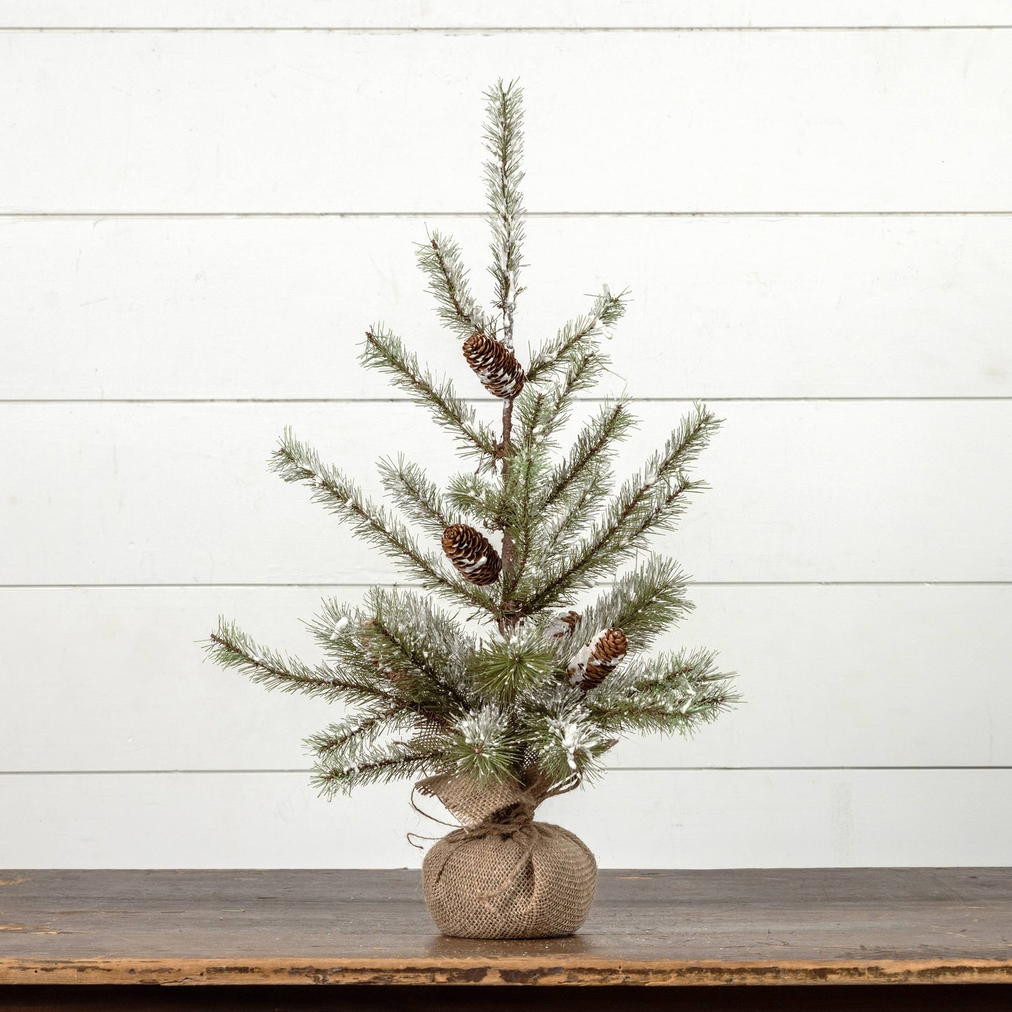 2' SNOWY PINE TREE