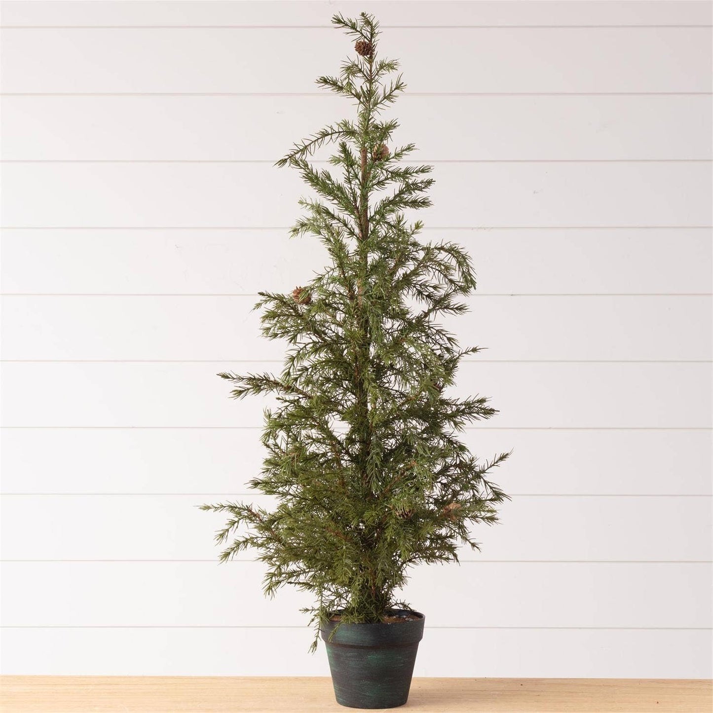 Potted Fir Pine Christmas Tree – Large