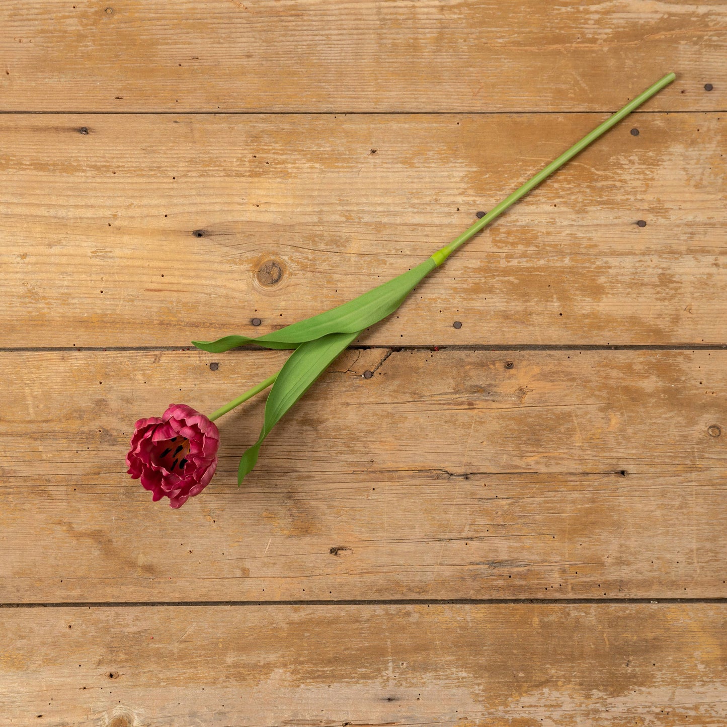 25" BURGUNDY TULIP STEM