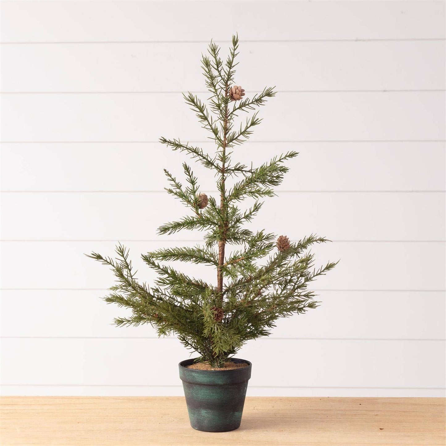 Potted Christmas Fir Pine Tree, Sm