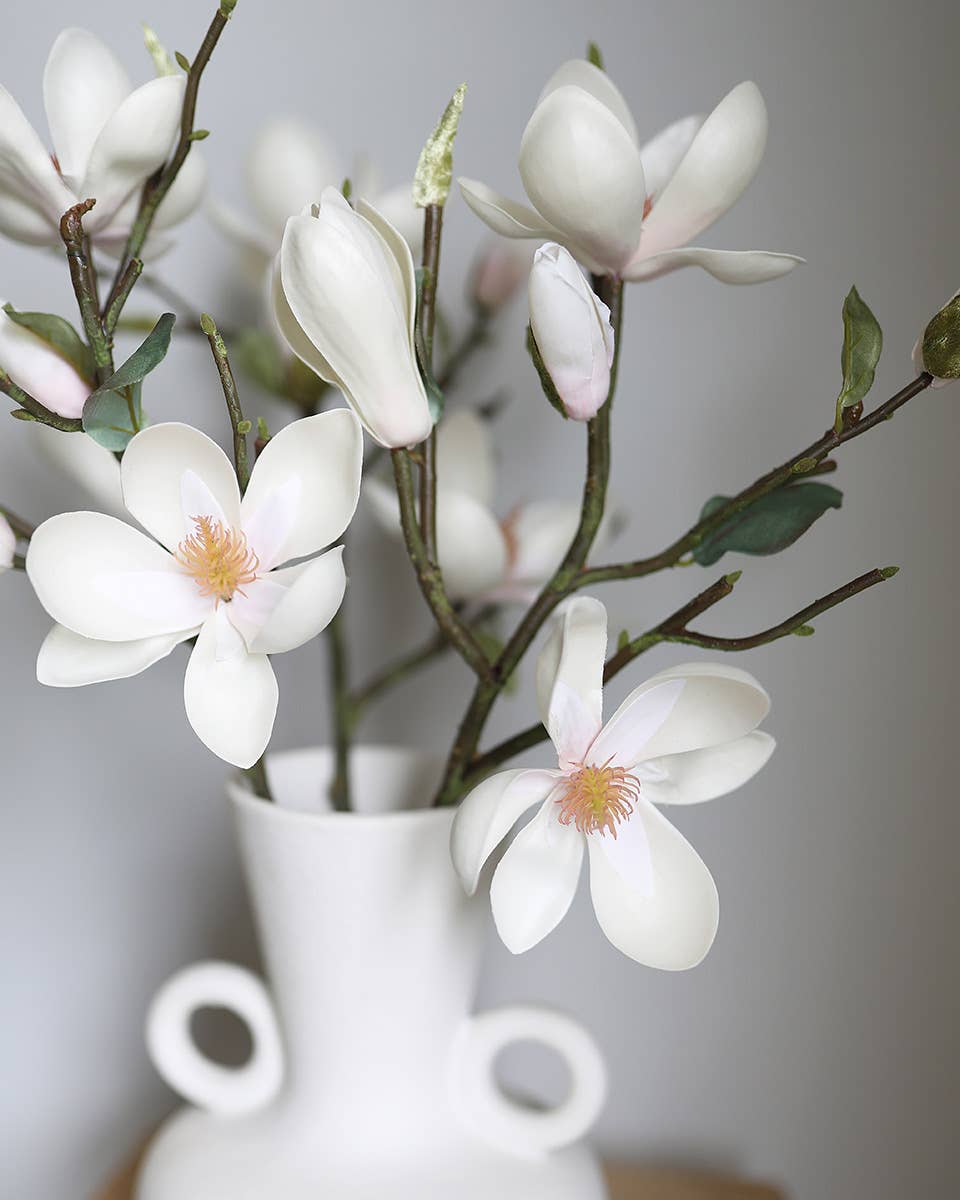 White Magnolia Tulip 20"