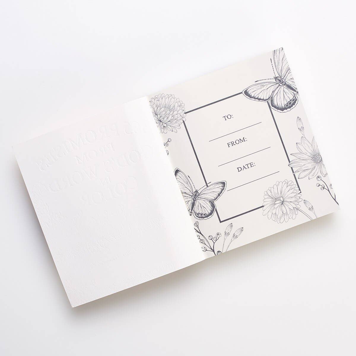 Coloring Devotional 365 Promises God's Word in Color