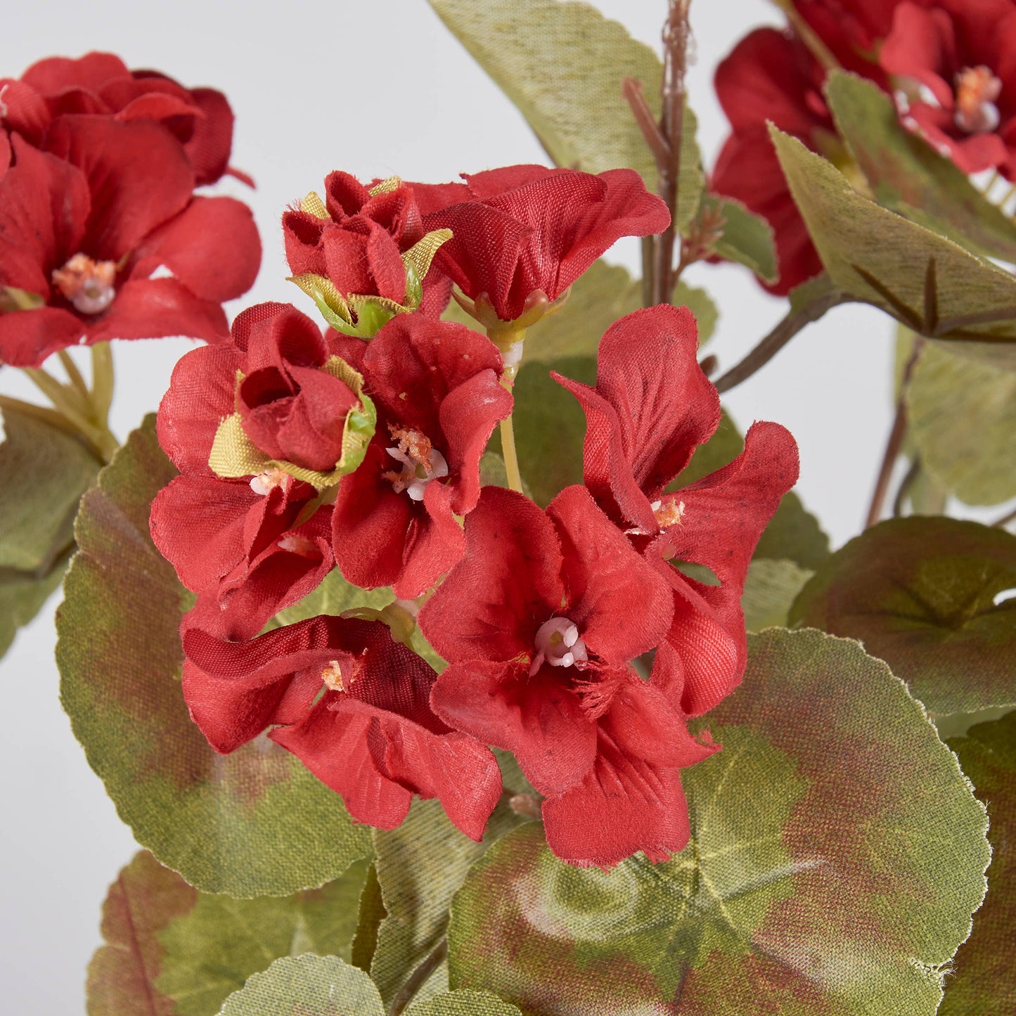 Geraniums Floral Pick