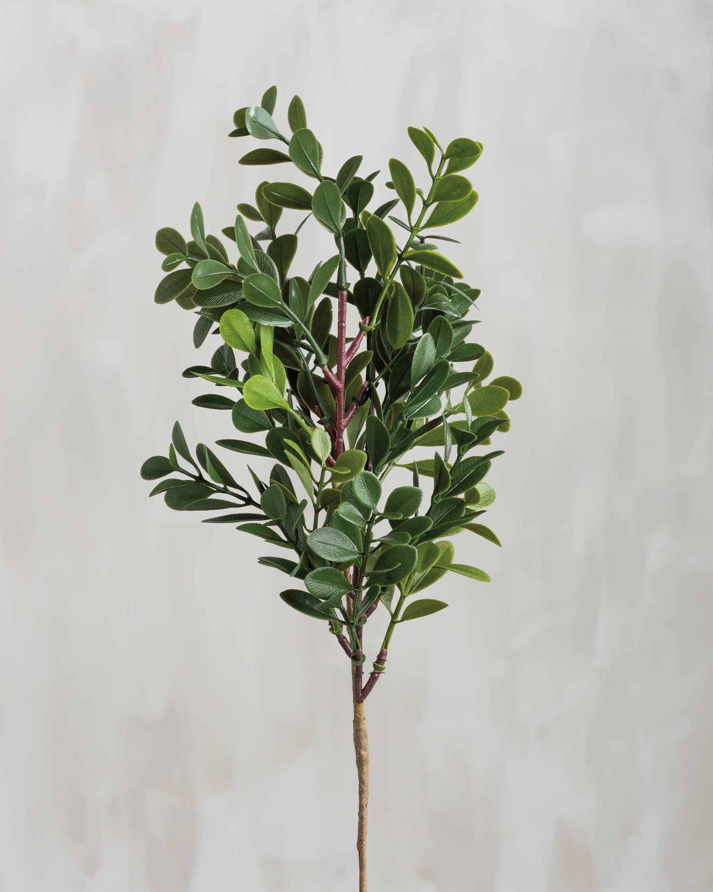 Small Boxwood Floral Pick