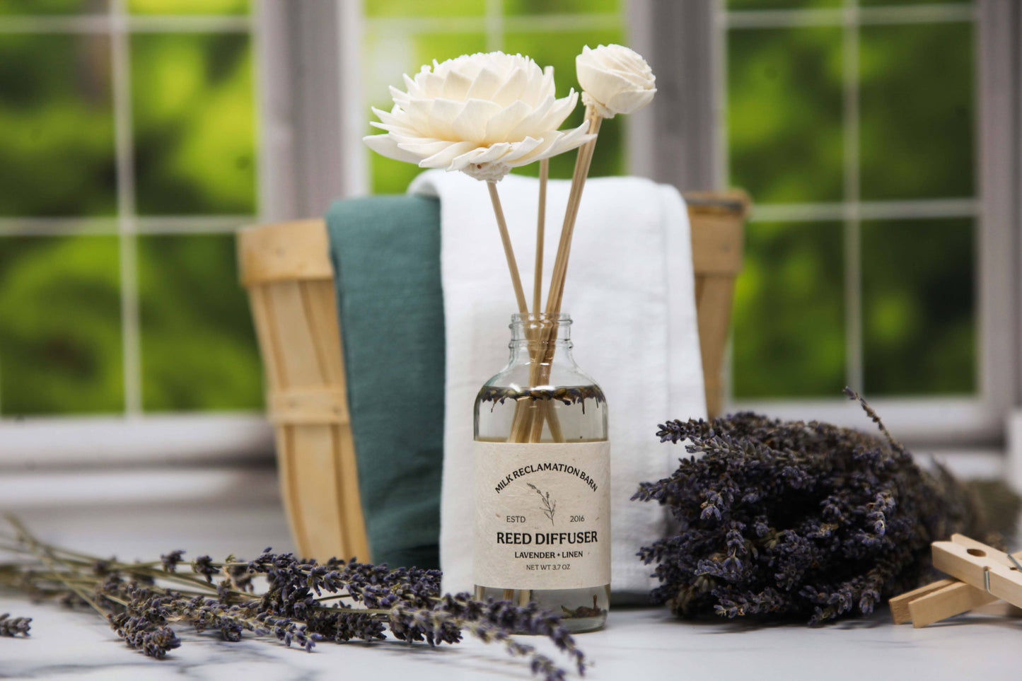 Reed Diffuser with Rattan Reeds and Sola Flowers: Sandalwood + Cassis