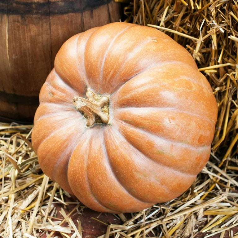 The Little Gourd