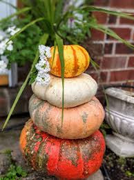 The Pumpkin Patch Deluxe