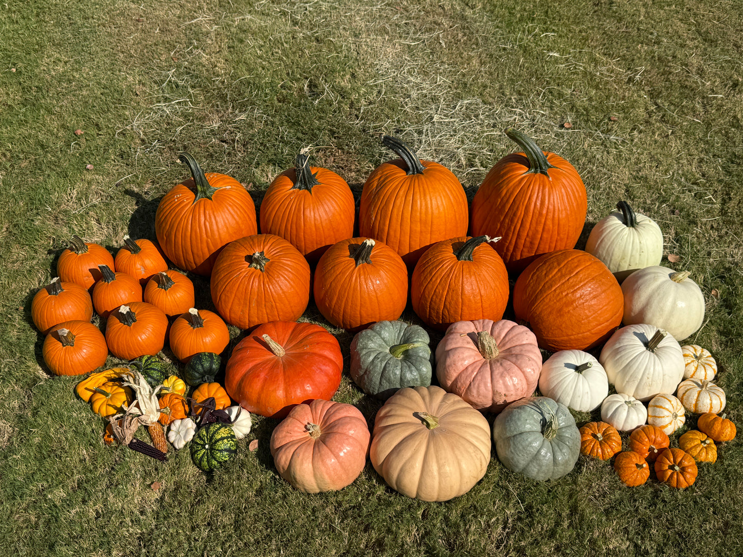 The Little Gourd