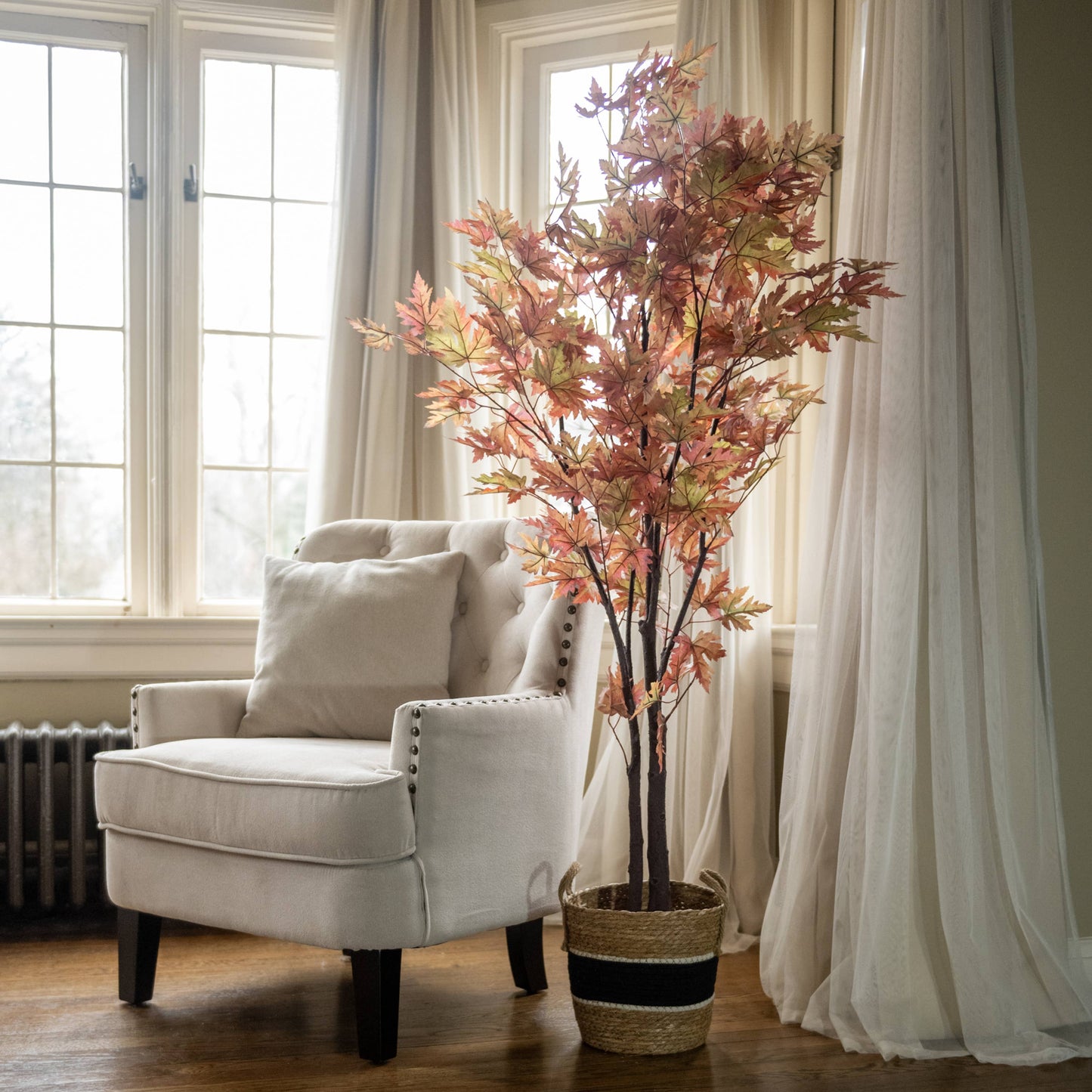5' Fall Maple Leaf Tree