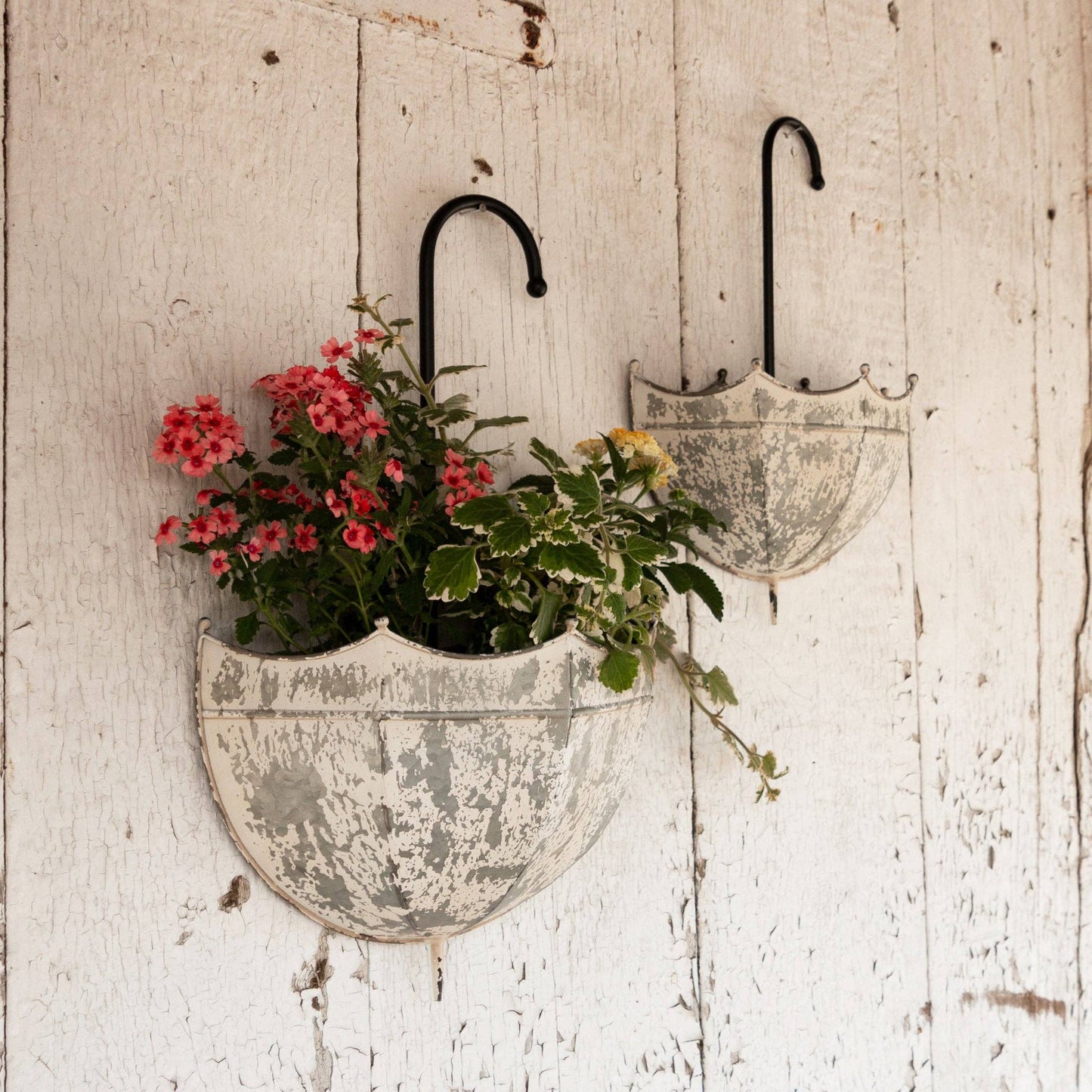 Galvanized Umbrella Wall Planter (Set Of 02)