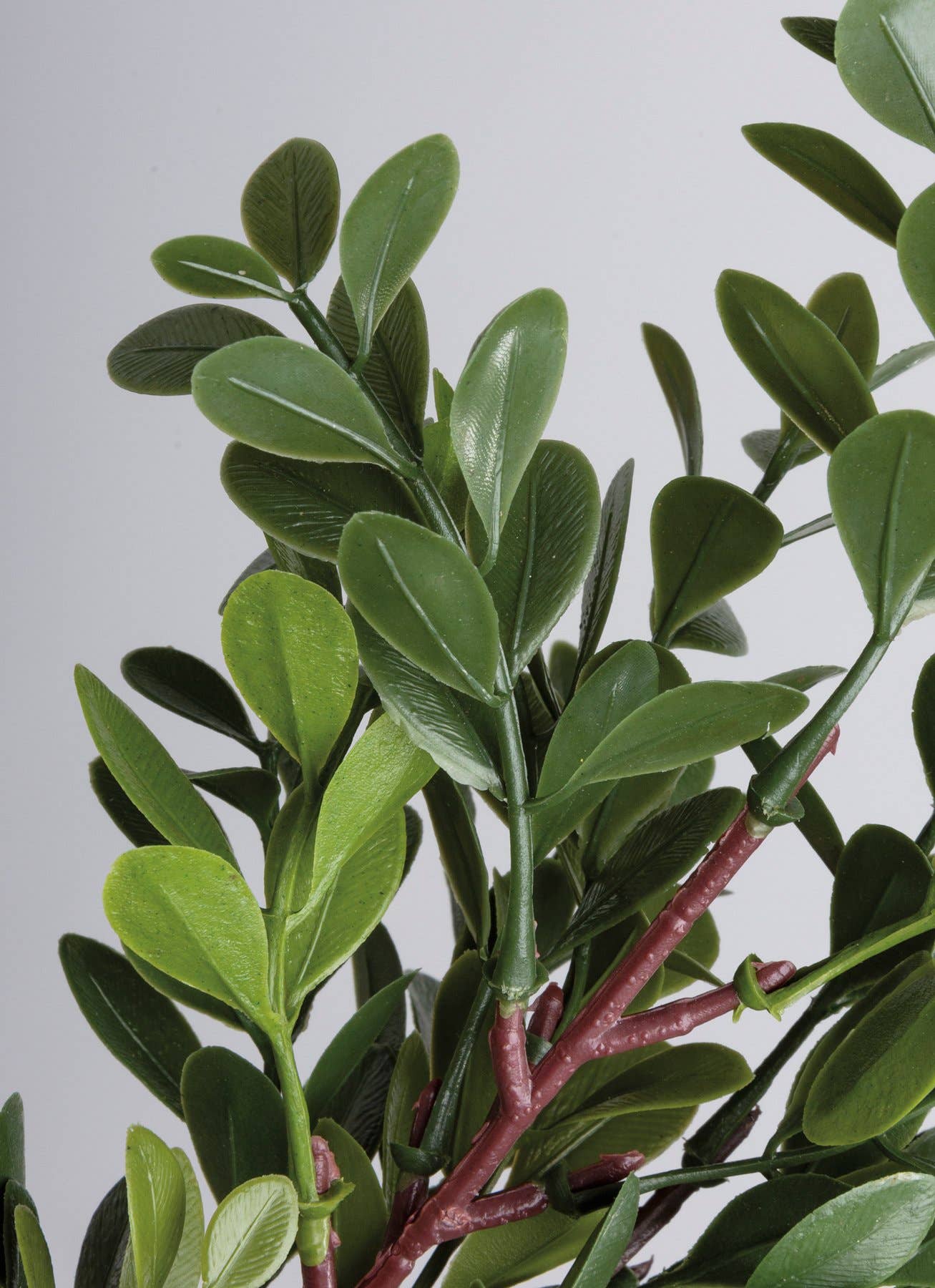 Small Boxwood Floral Pick