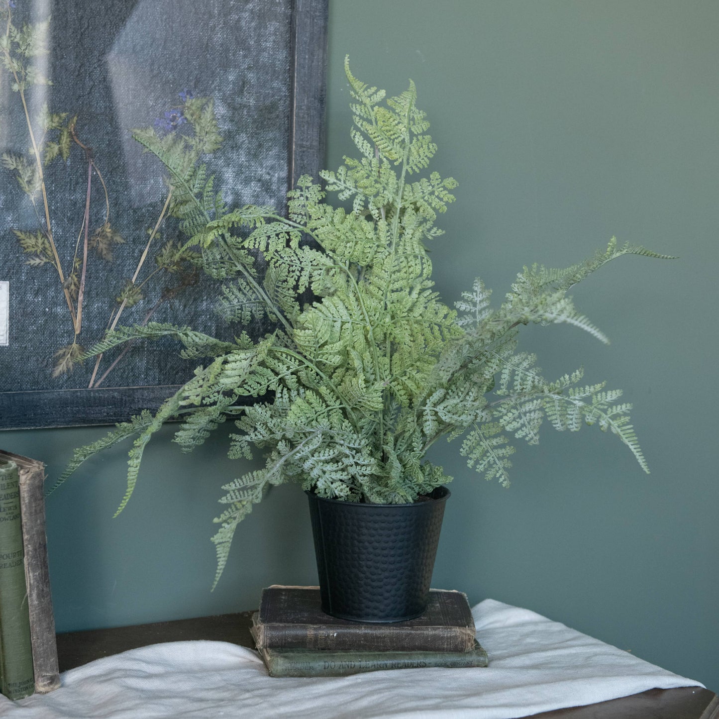 19" Potted Lace Fern