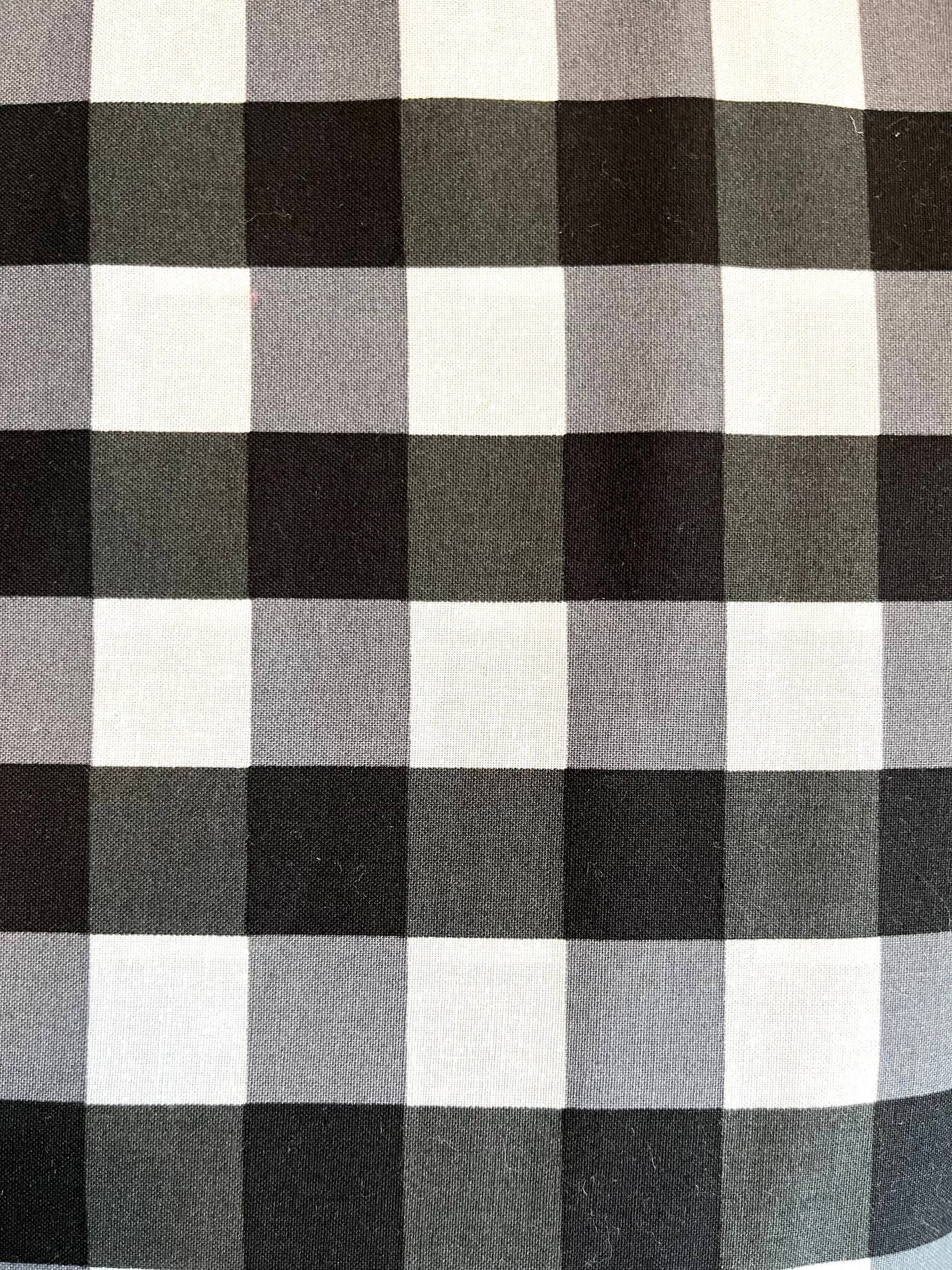 Rustic Fabric Regular Carrot: Orange Gingham