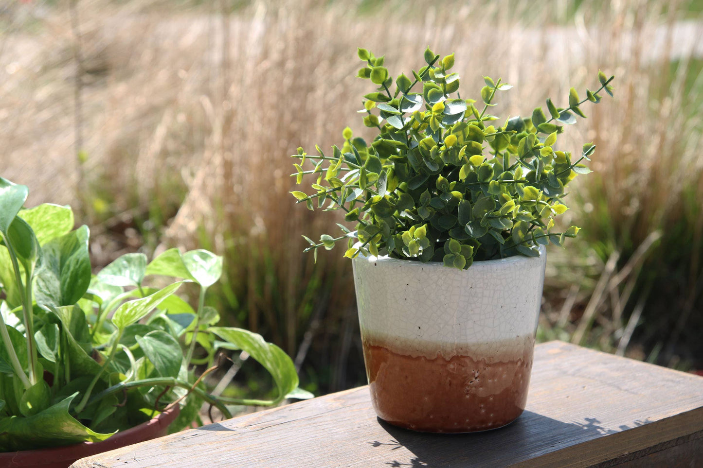 Abe Planter