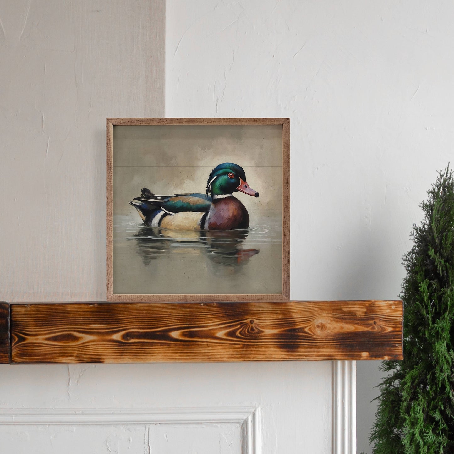 Wood Duck Portrait: 16x16