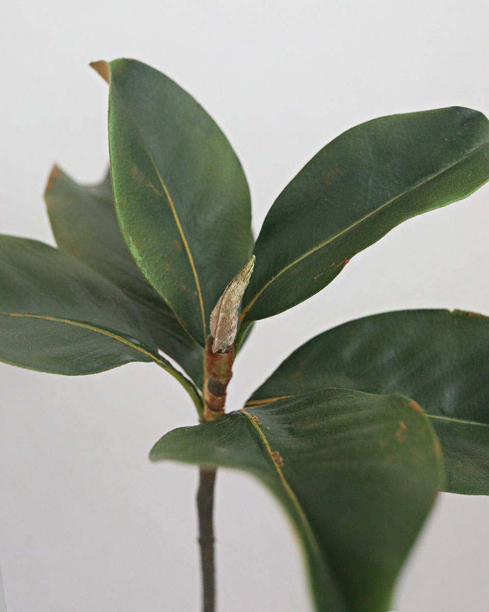 Faux Magnolia Leaves 14"