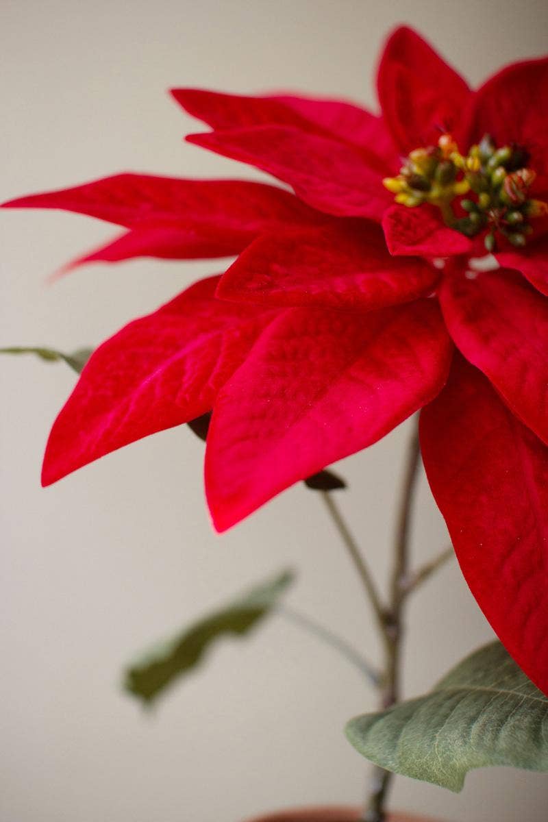ARTIFICIAL POINSETTIA IN A CEMENT POT - RED: Red / Plastic/Wire / 12"d x 18"t