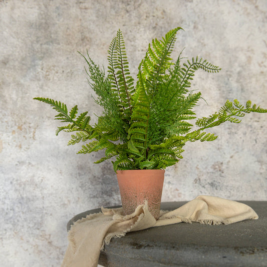 15" Potted Fern