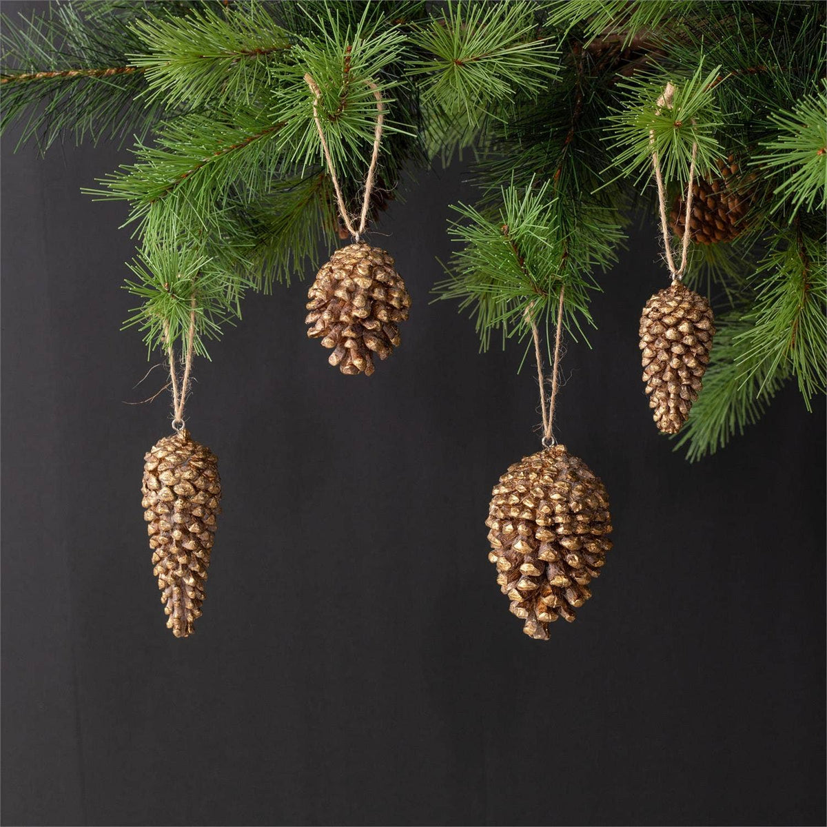 Ornaments - Gold Tipped Pinecones (Set Of 4) (Pk/03 Sets)