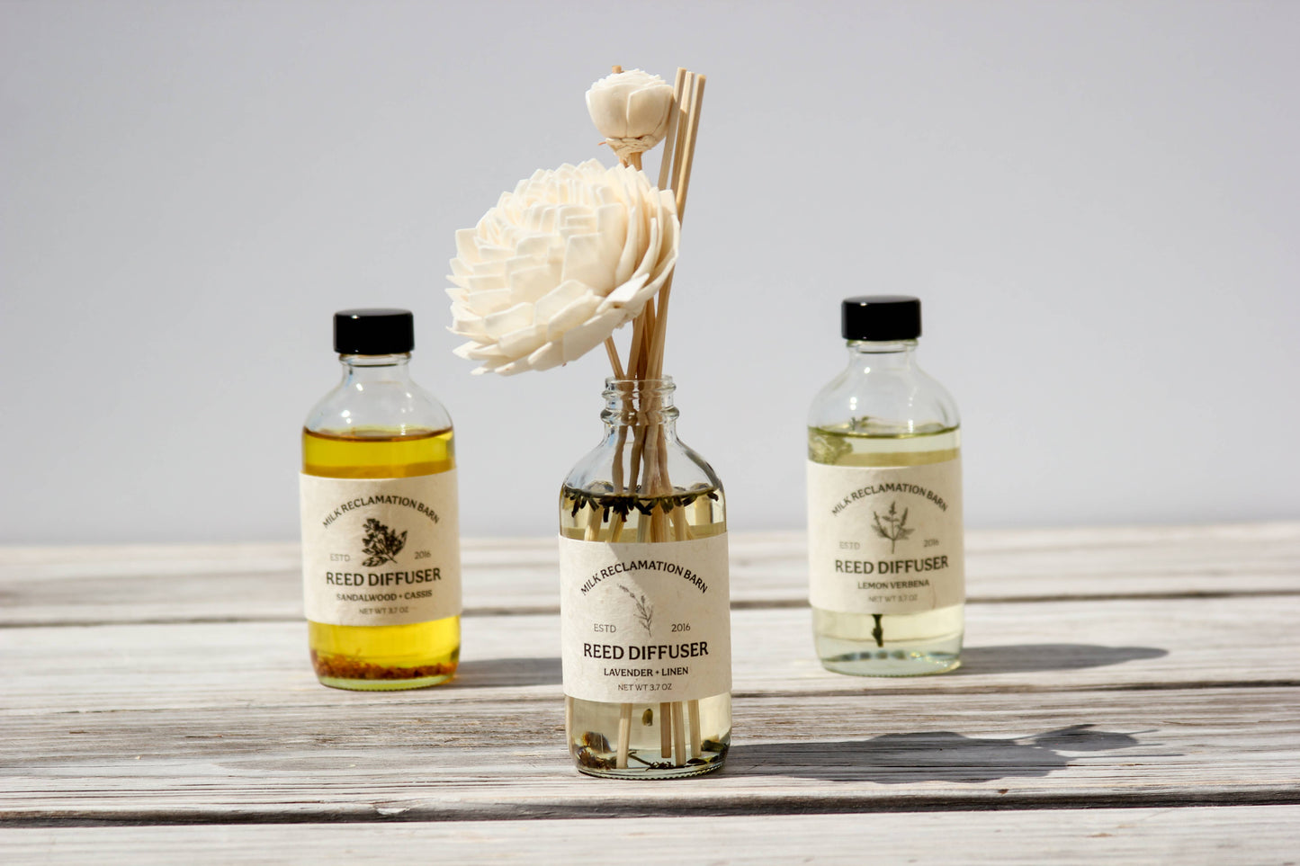 Reed Diffuser with Rattan Reeds and Sola Flowers: Sandalwood + Cassis