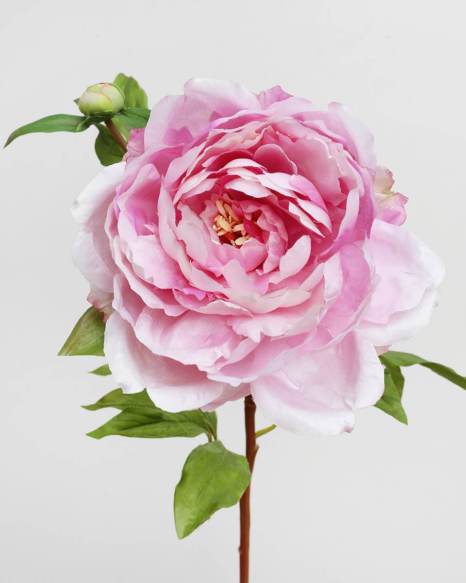 Pink Faux Peony 19.5"