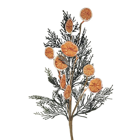 Fern Orange Slice Spray 24”