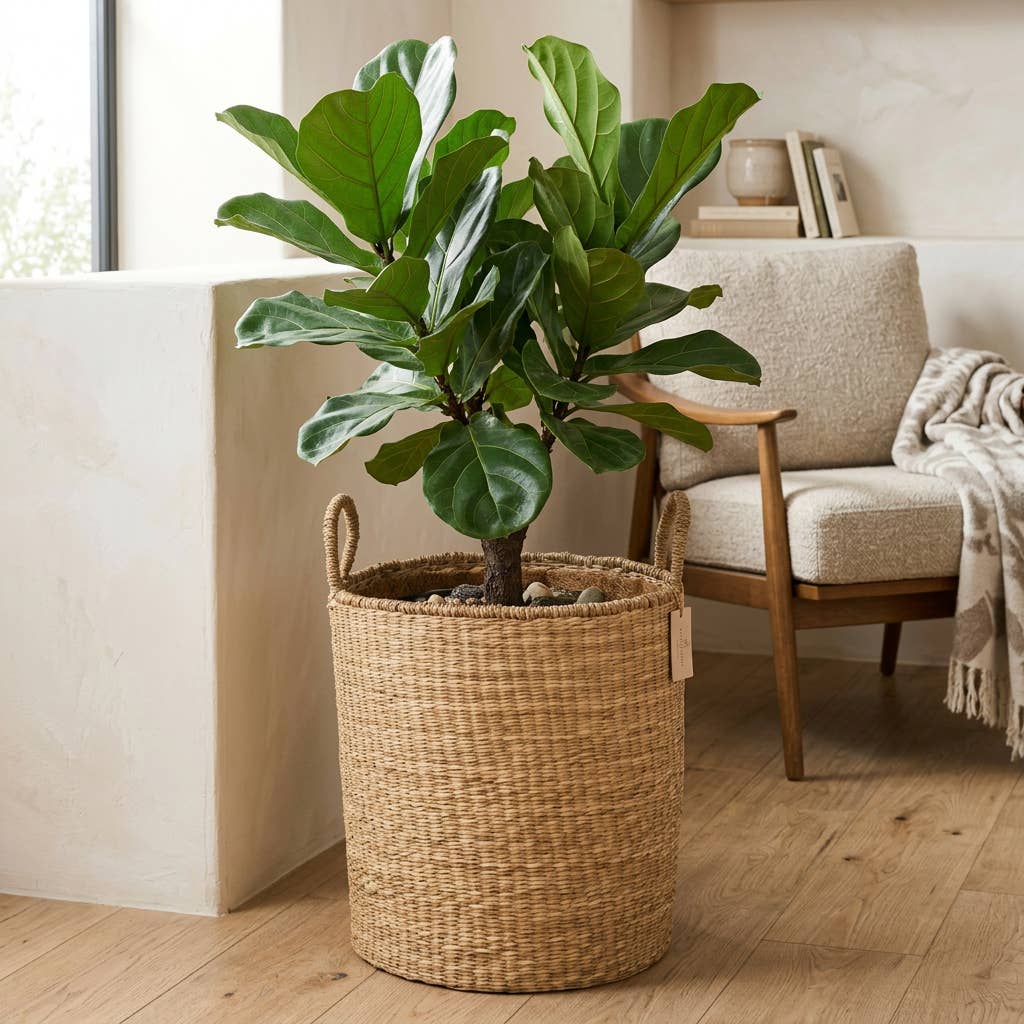Classic Seagrass Floor Basket with Handles – Small