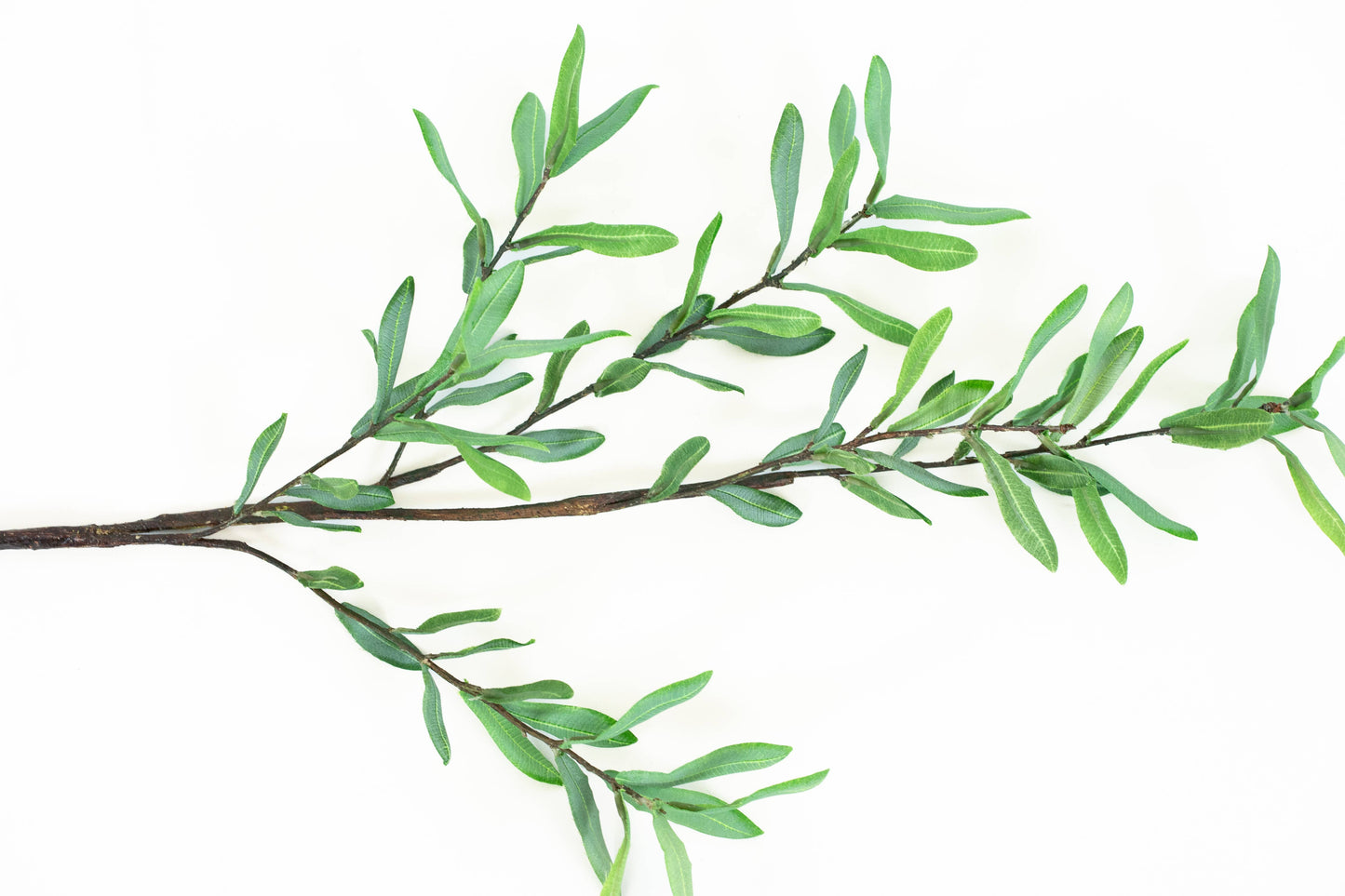 39" Ollie Olive Branch - Faux Olive Leaves