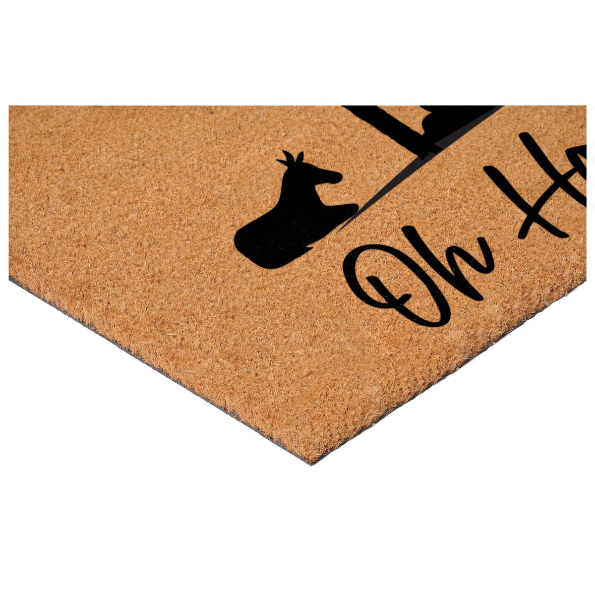 Holy Night Nativity Doormat: 17" x 29"