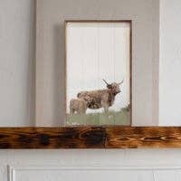 Highland And Baby: 16 x 24 x 1.5