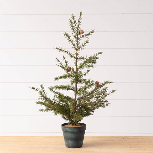 Potted Christmas Fir Pine Tree, Sm