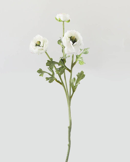 White Ranunculus 18.5"