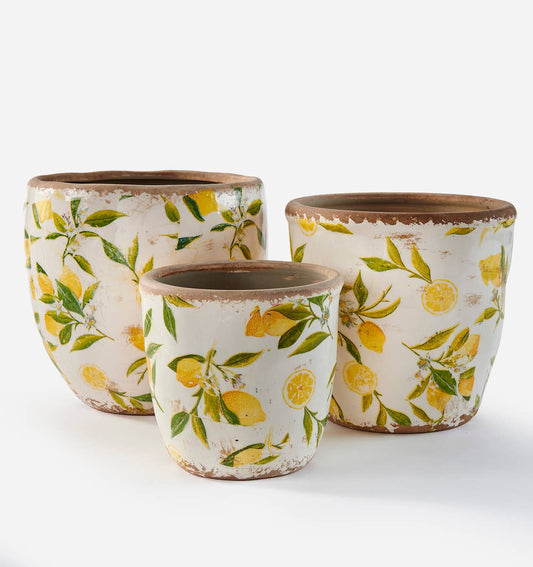 Ceramic Planter w/Lemon,Lg