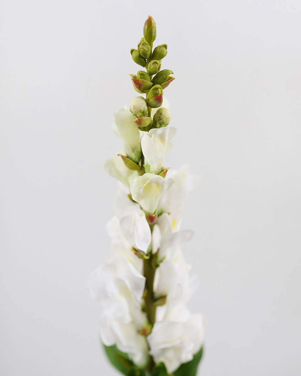 Real Touch Cream White Snapdragon 23”