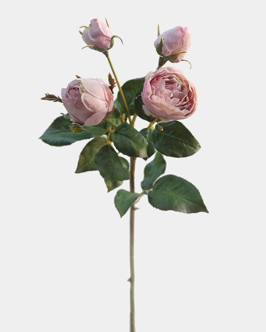 Mauve English Rose 23"