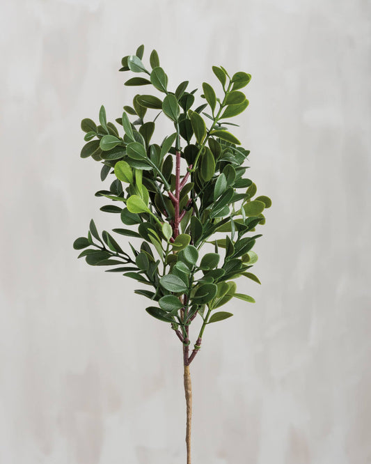 Small Boxwood Floral Pick