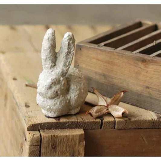 Baby Rabbit