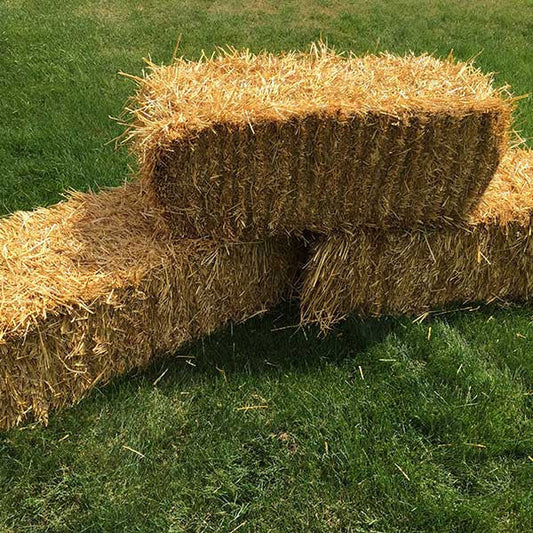 Hay Bale