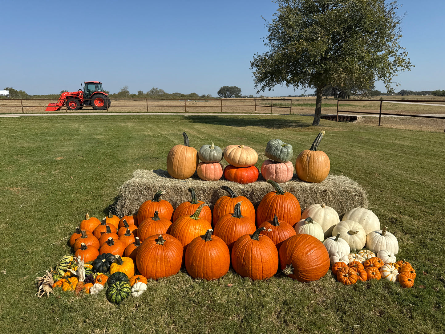 The Harvest Bundle