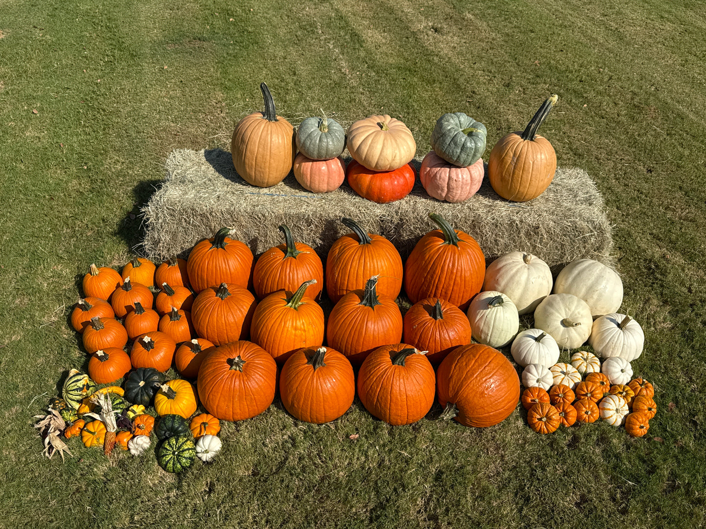 The Harvest Bundle