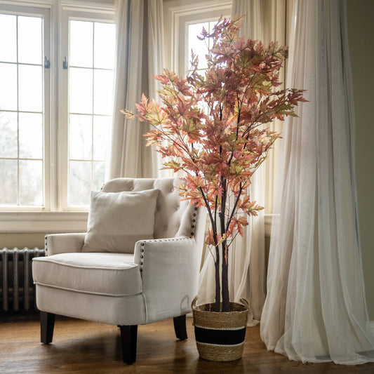 5' Fall Maple Leaf Tree