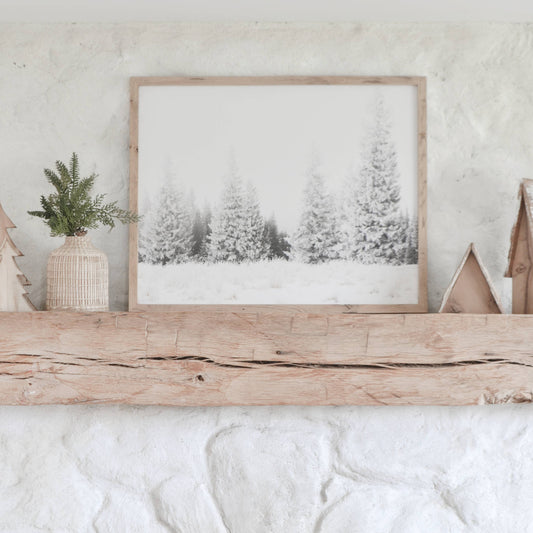 Winter Trees Framed Art | Made in the USA : Chestnut / 16x20