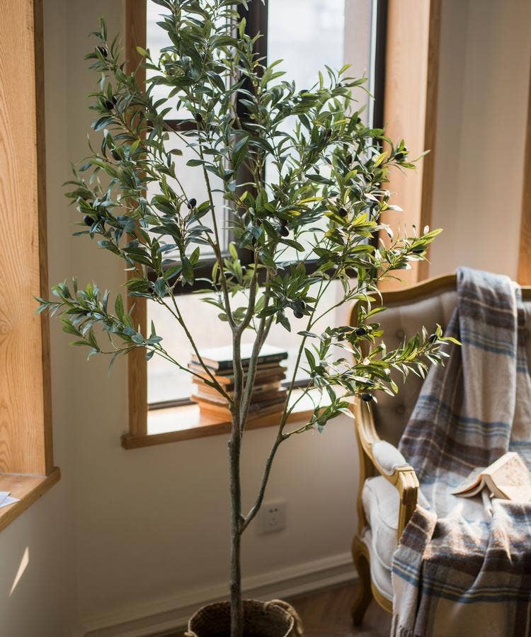 Artificial Olive Tree: X Large
