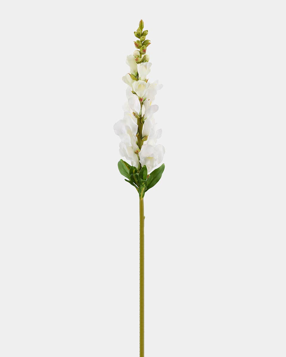Real Touch Cream White Snapdragon 23”