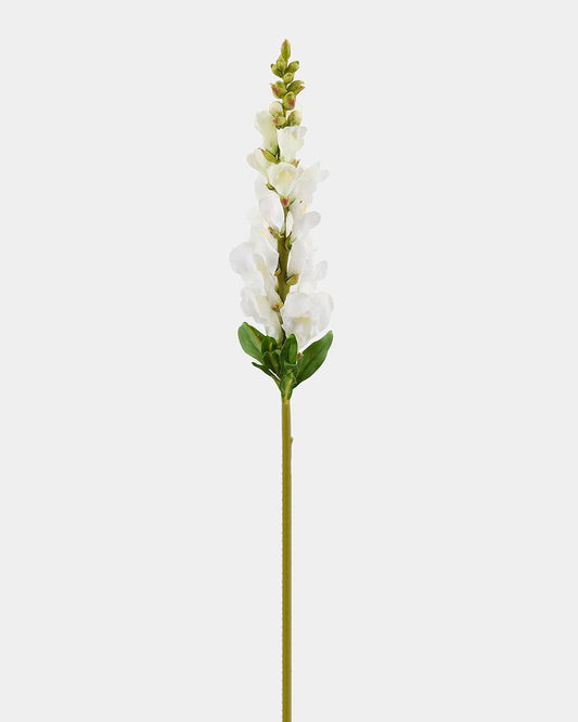 Real Touch Cream White Snapdragon 23”